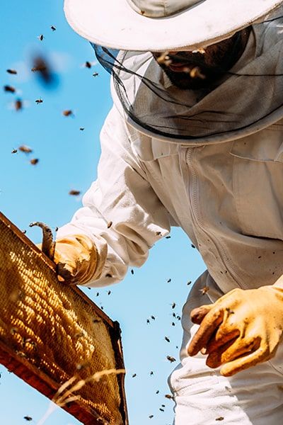 prodotrti biologici vicino a me