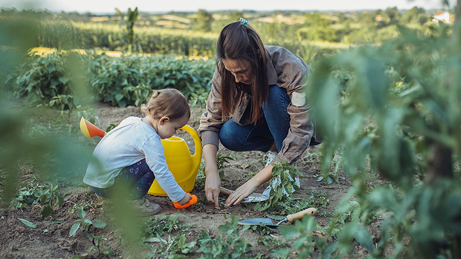 prodotrti biologici vicino a me