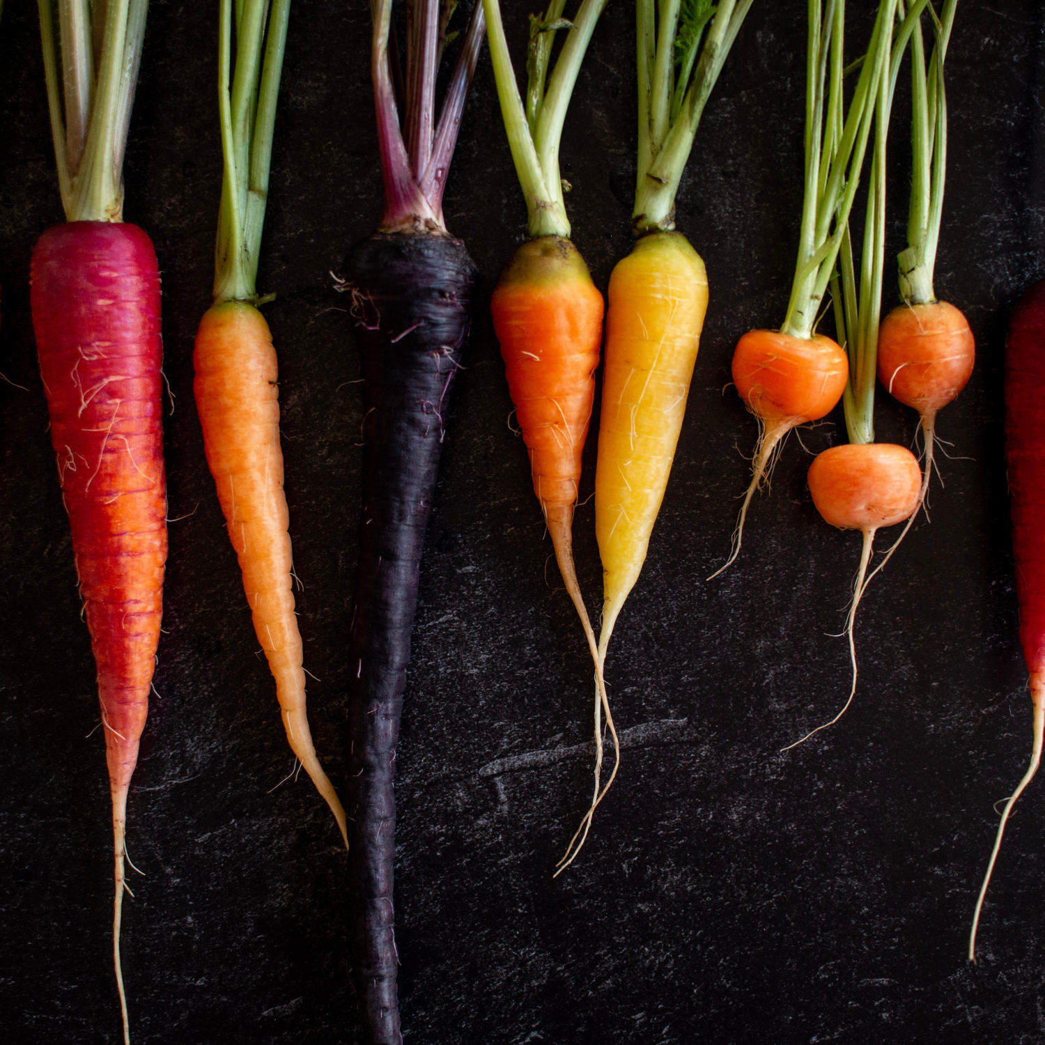 Carote colorate fresche per Giardiniera Colorata Kaiser Küche