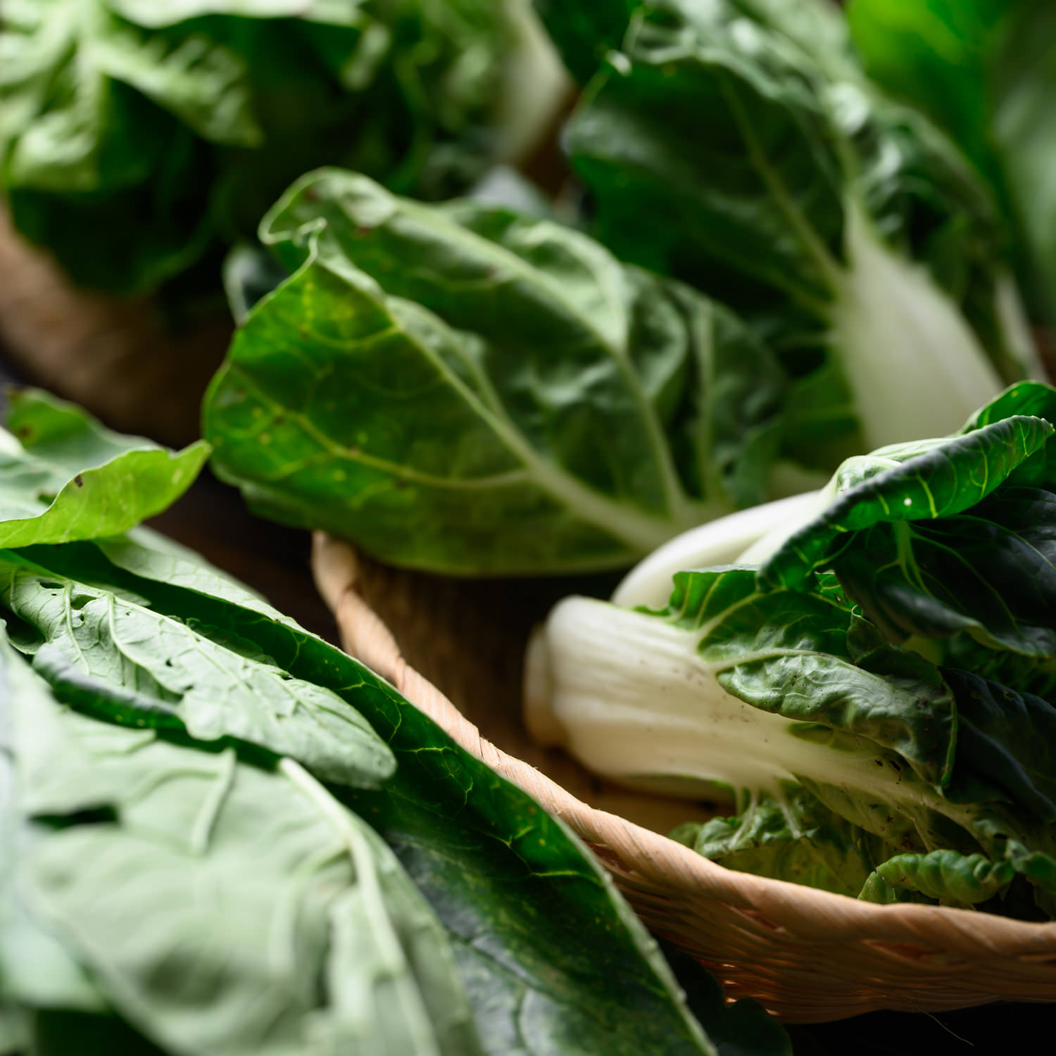 Foglie verdi biologiche fresche in cesto